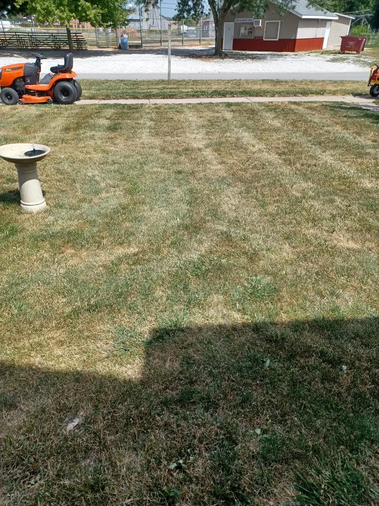 Professional yard cleanup service in Chariton, IA by MI Services