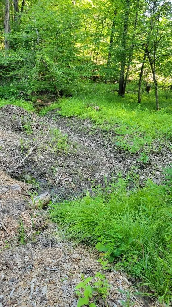 Affordable residential landscaping experts serving Midland, MI - MI Tractor Guy