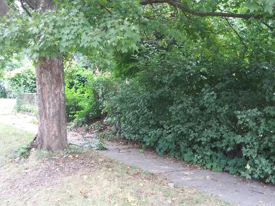 Trusted garden landscaping for year-round maintenance across Jackson, MI - Mia & Papa's Lawn Mowing and More