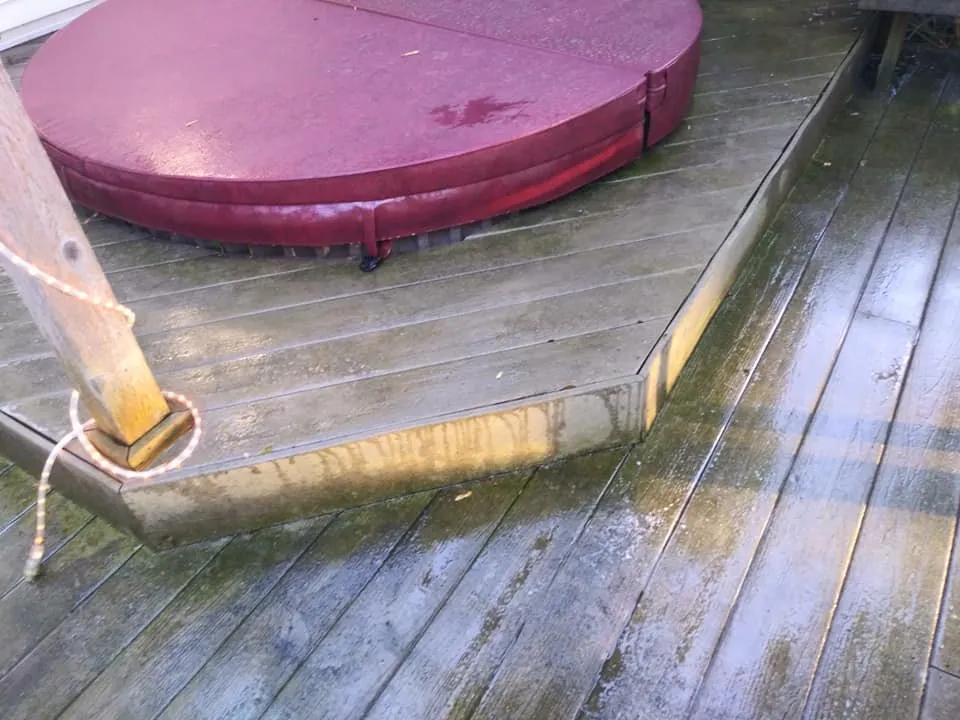 Expert yard maintenance near you in Jackson, MI by Mia & Papa's Lawn Mowing and More