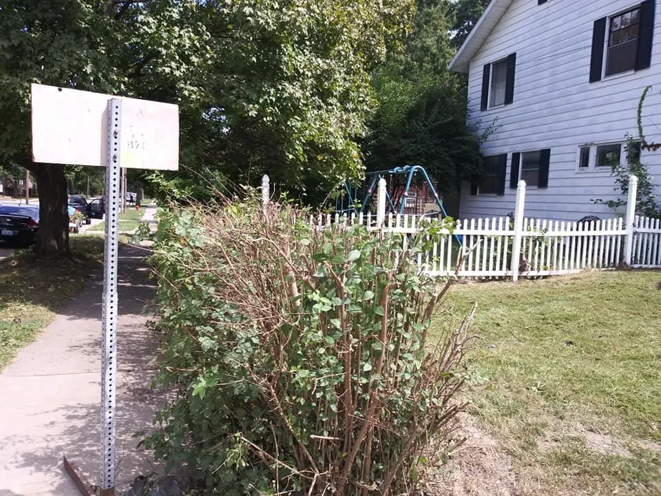 Trusted yard cleanup service in Jackson, MI by Mia & Papa's Lawn Mowing and More