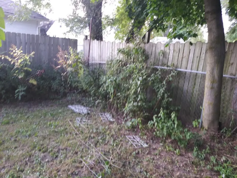 Expert lawn mowing service in Jackson, MI by Mia & Papa's Lawn Mowing and More