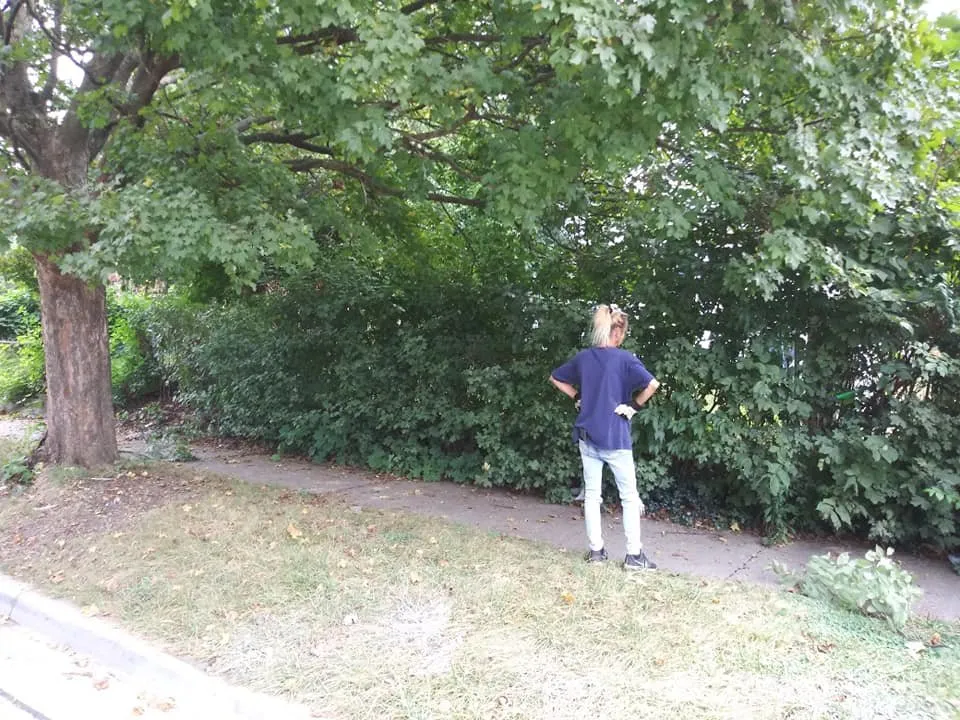 Top-rated landscape design experts serving Jackson, MI - Mia & Papa's Lawn Mowing and More