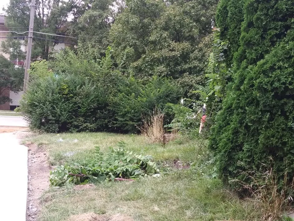 Custom landscape design experts serving Jackson, MI - Mia & Papa's Lawn Mowing and More