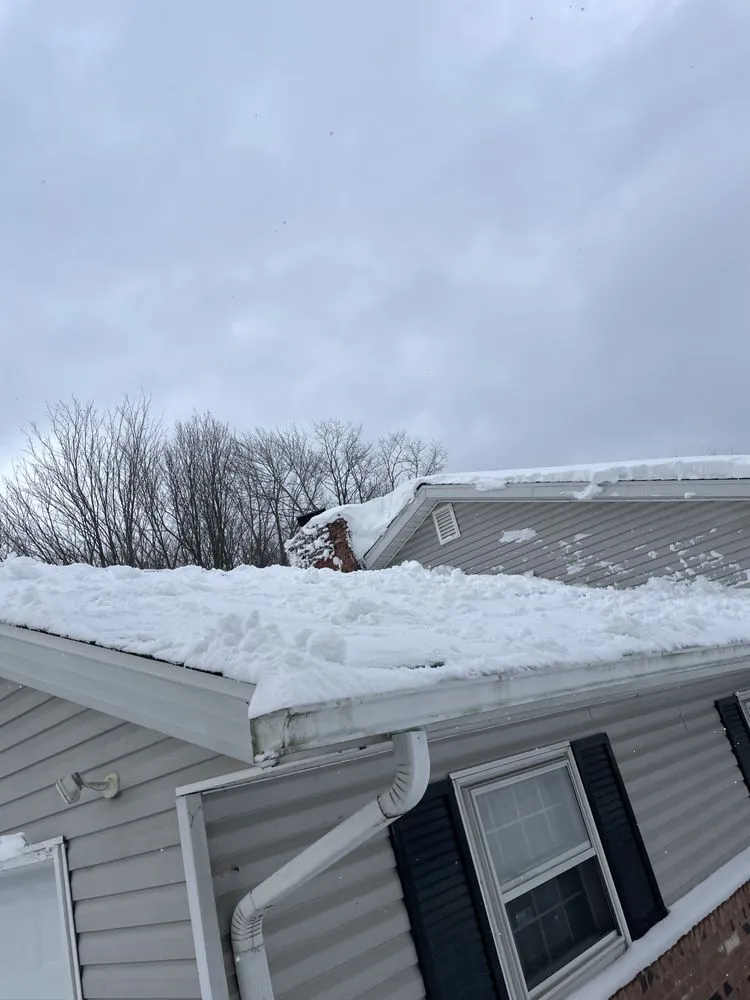 Affordable lawn care service in Erie, PA - Miaczynski Services