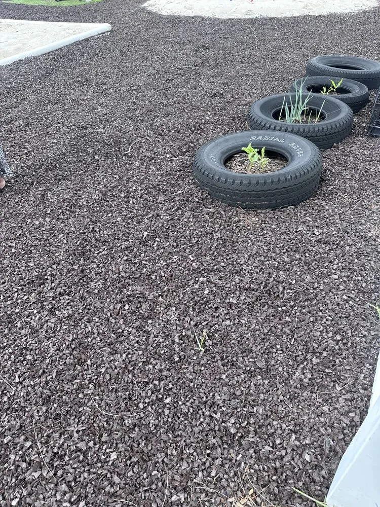 Top-rated landscaping services experts serving Miami, FL - Miami Artificial Turf And Landscaping