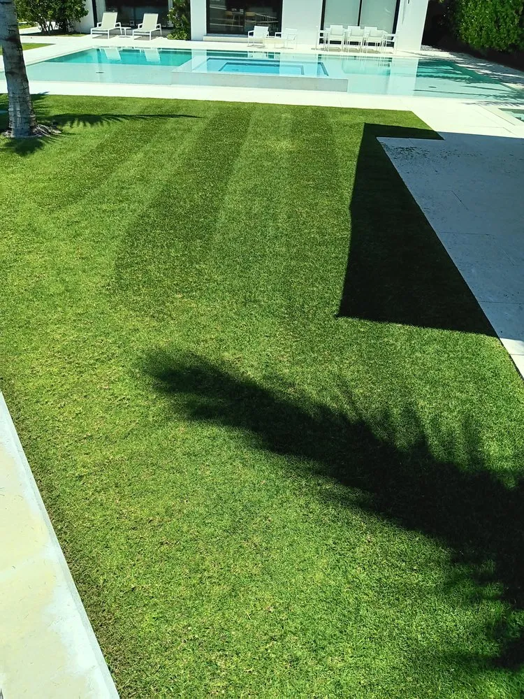 Local landscaping services in Miami Beach, FL - Miami Beach Lawn and Landscaping Services