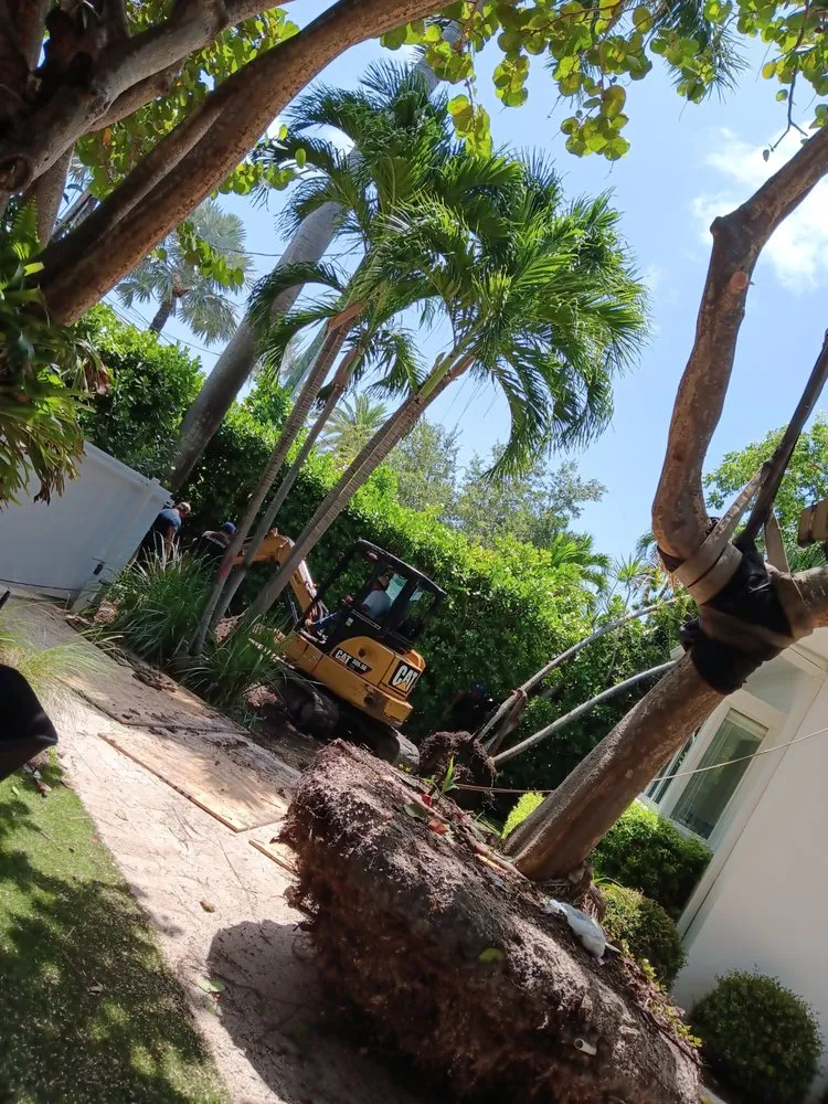 Affordable garden landscaping for year-round maintenance in Miami Beach, FL by Miami Beach Lawn and Landscaping Services