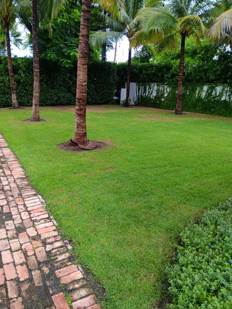 Reliable landscape installation with custom design across Miami Beach, FL - Miami Beach Lawn and Landscaping Services