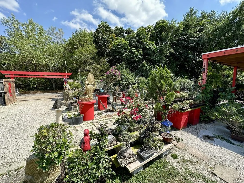 Reliable landscaping services near you in Miami, FL by Miami Bonsai Specialists