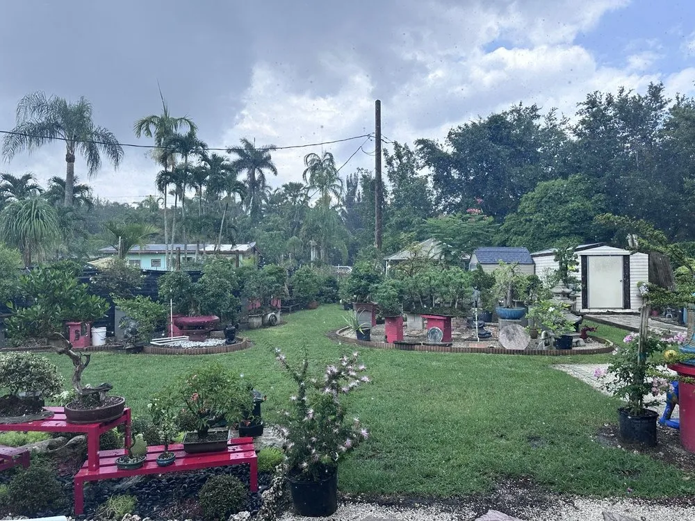 Affordable yard maintenance in Miami, FL by Miami Bonsai Specialists