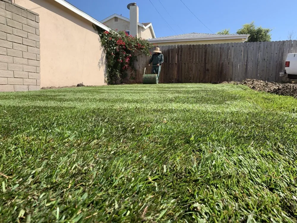 Reliable residential landscaping in Torrance, CA - Miami Landscaping