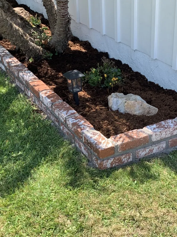 Local yard cleanup service experts serving Torrance, CA - Miami Landscaping