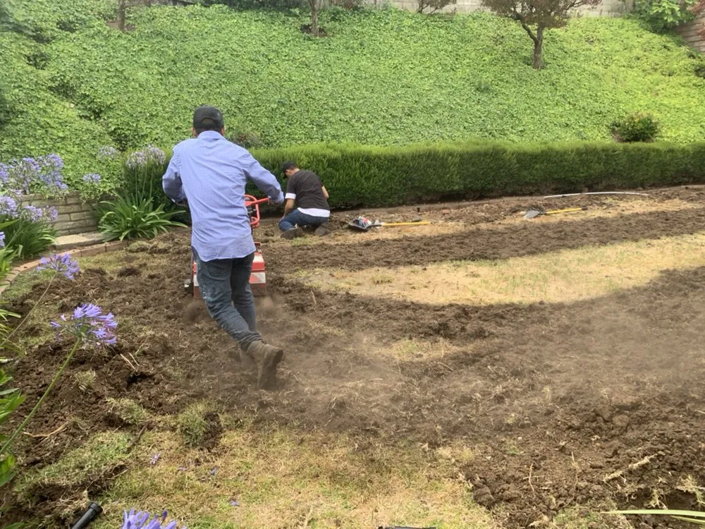 Reliable lawn mowing service for year-round maintenance across Torrance, CA - Miami Landscaping