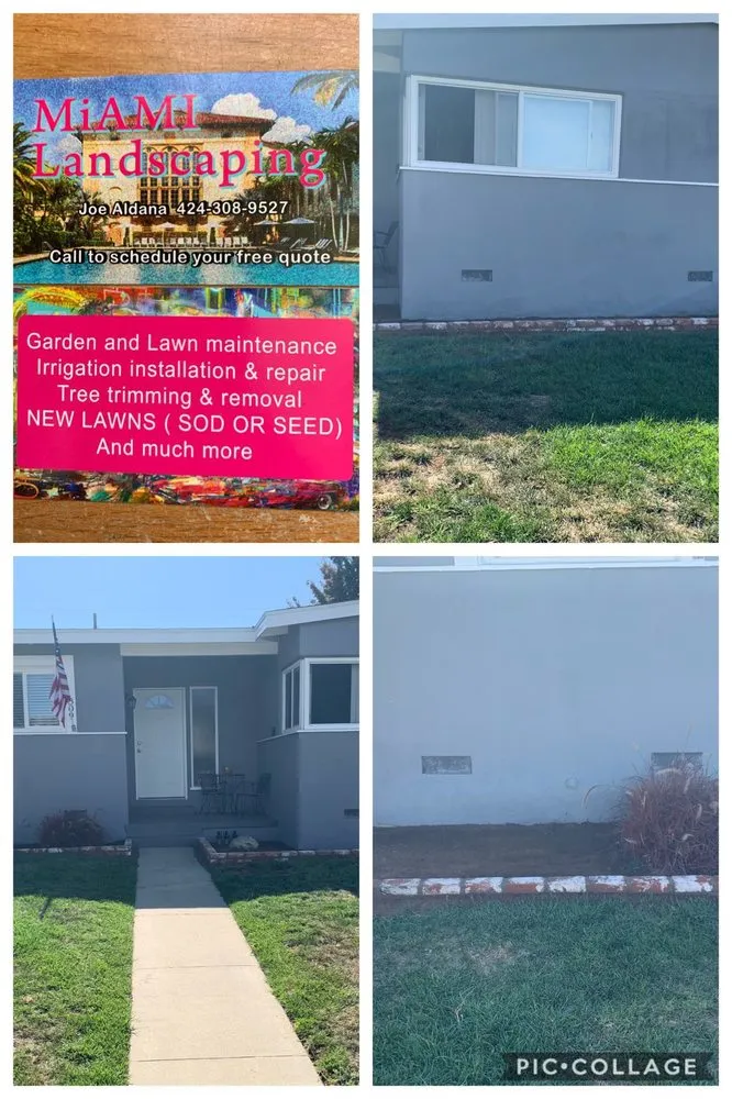 Affordable yard cleanup service in Torrance, CA - Miami Landscaping