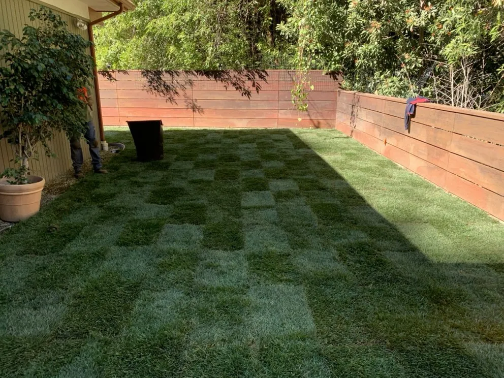 Local landscape design experts serving Torrance, CA - Miami Landscaping