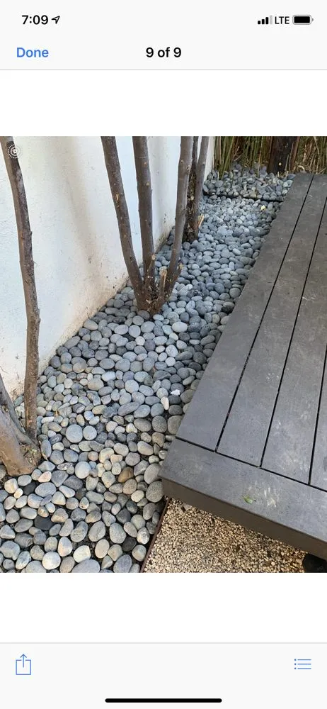 Affordable residential landscaping experts serving Torrance, CA - Miami Landscaping