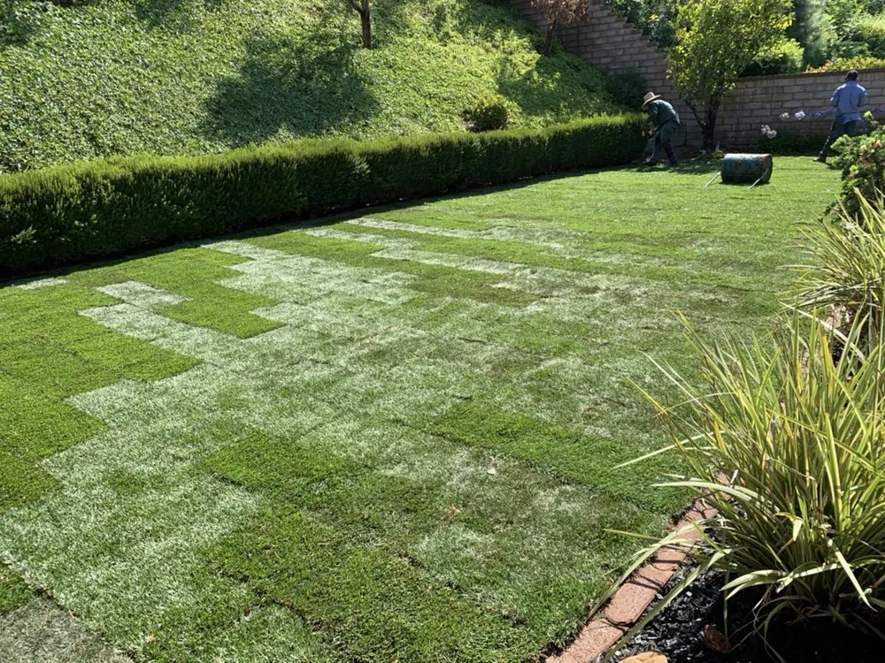 Professional yard maintenance in Torrance, CA by Miami Landscaping