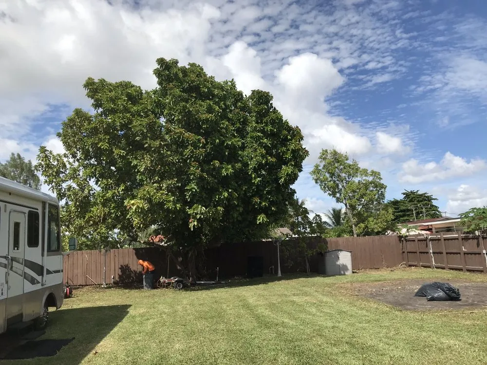 Local garden landscaping for residential properties in Miami, FL by Miami Lawnlux