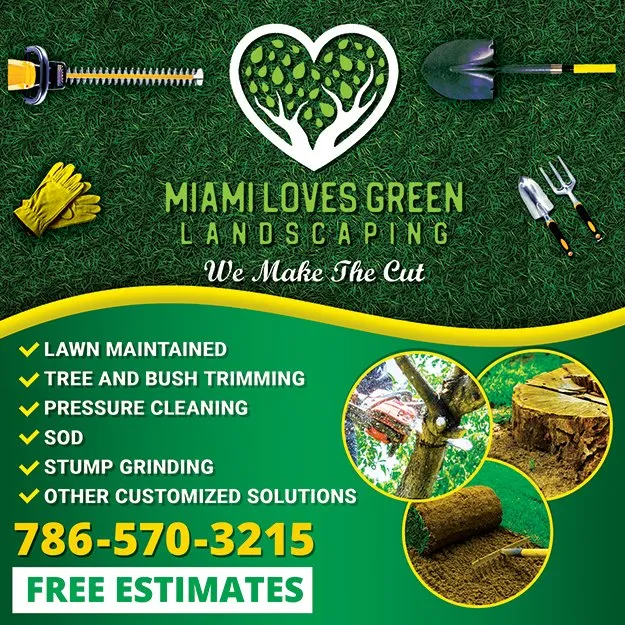 Top-rated yard cleanup service for homes across Miramar, FL - Miami Loves Green