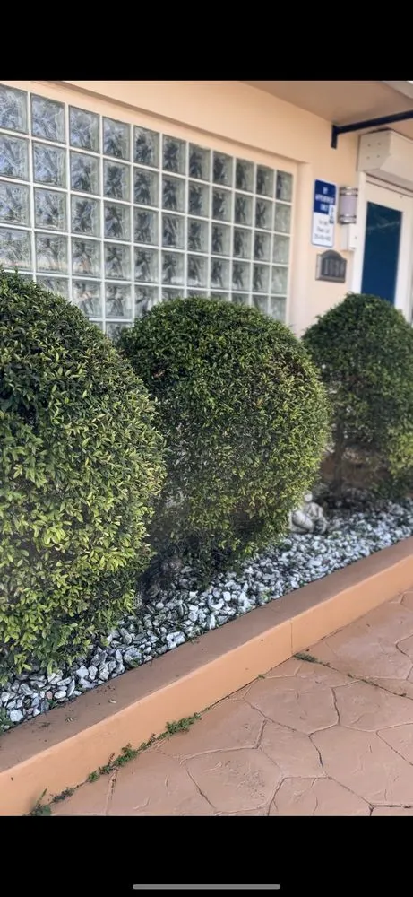 Top-rated lawn mowing service for residential properties in Miami, FL by Miami Paradise Landscaping