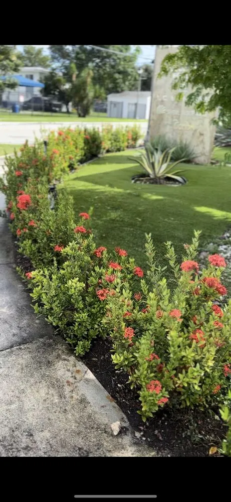 Custom lawn mowing service for beautiful yards across Miami, FL - Miami Paradise Landscaping