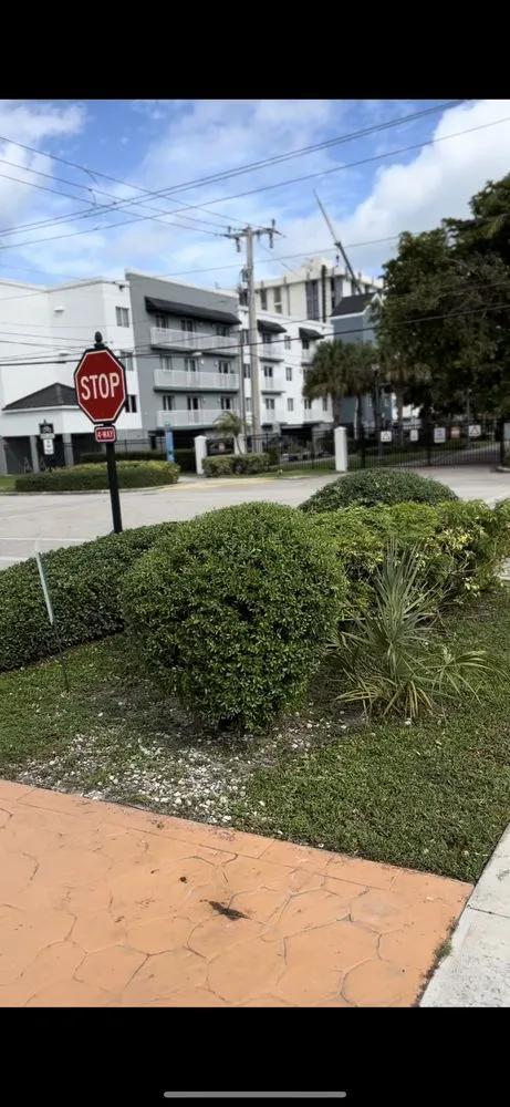 Expert outdoor landscaping in Miami, FL by Miami Paradise Landscaping