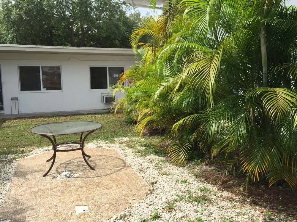 Affordable yard cleanup service in North Miami, FL - Miami Shores Landscape