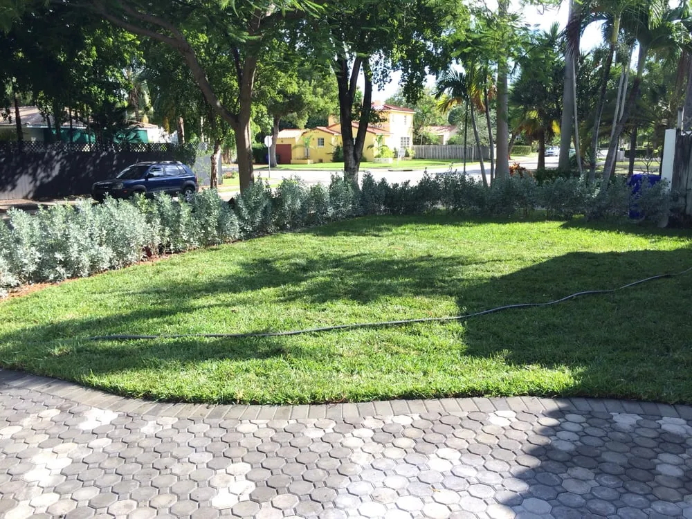 Custom landscaping services for year-round maintenance across North Miami, FL - Miami Shores Landscape