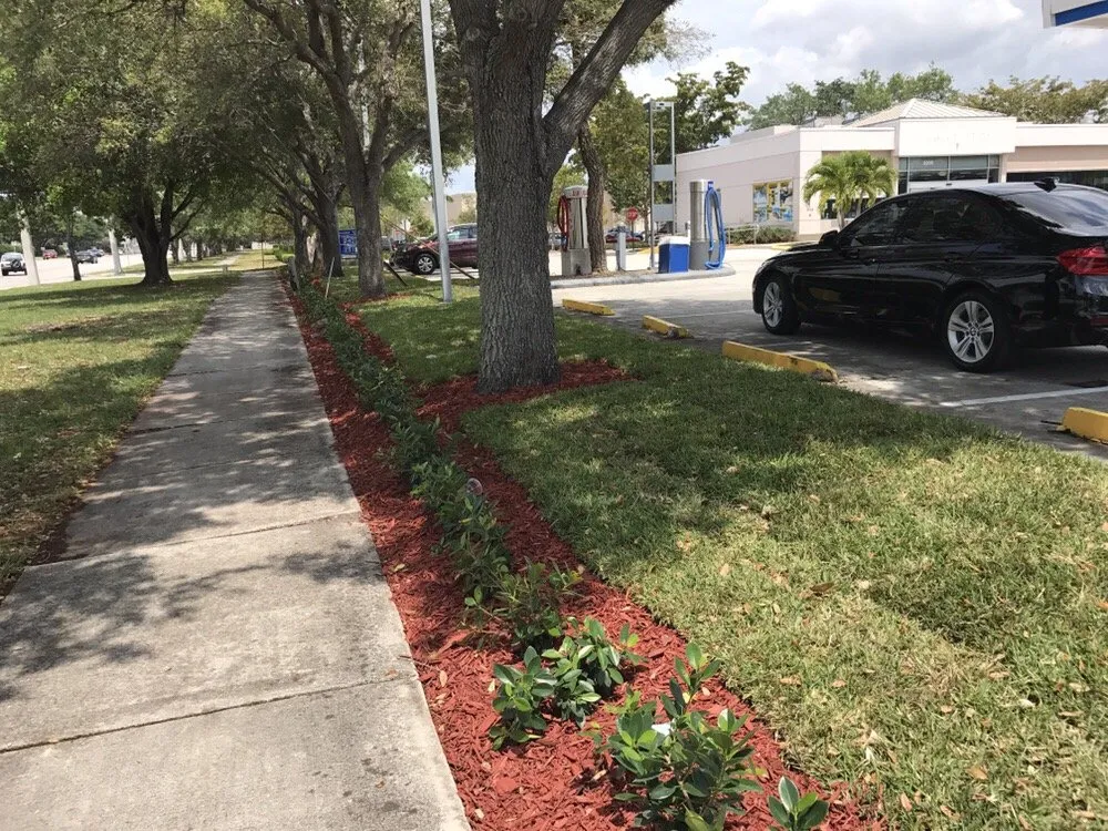 Local yard cleanup service experts serving North Miami, FL - Miami Shores Landscape