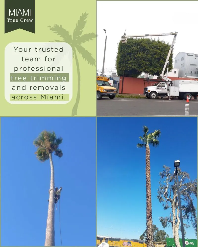 Trusted outdoor landscaping for residential properties across Medley, FL - Miami Tree Crew