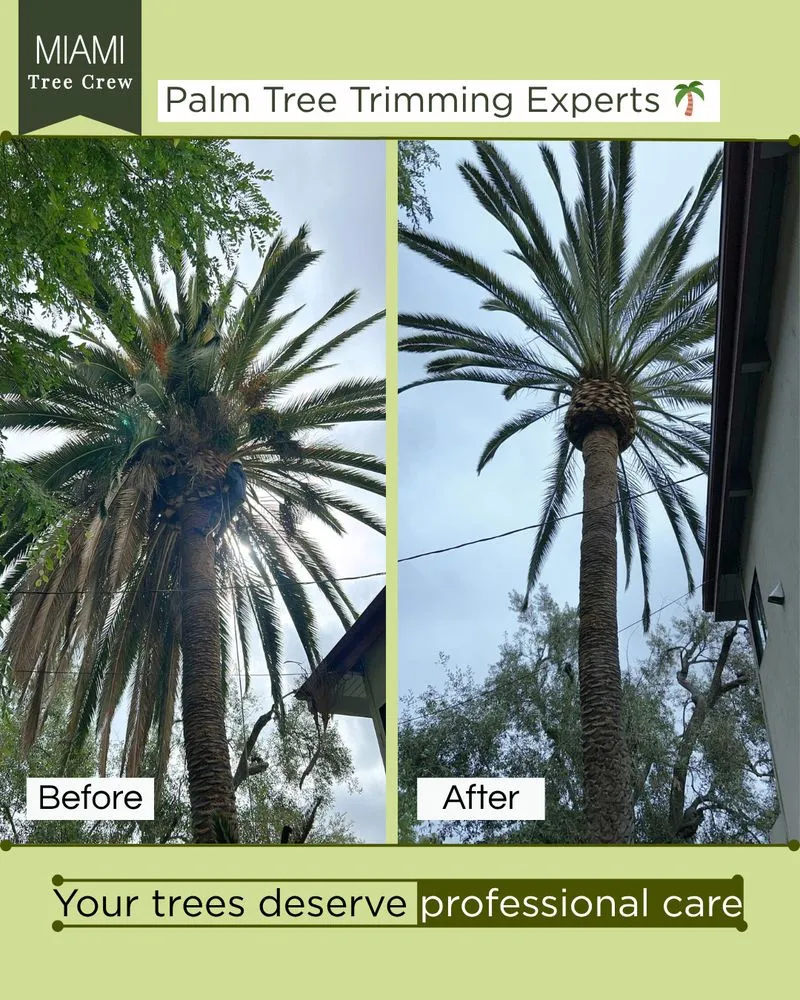 Reliable landscaping services in Medley, FL by Miami Tree Crew