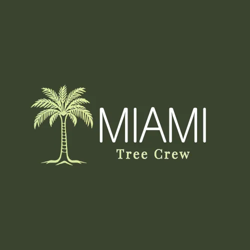 Custom yard cleanup service experts serving Medley, FL - Miami Tree Crew
