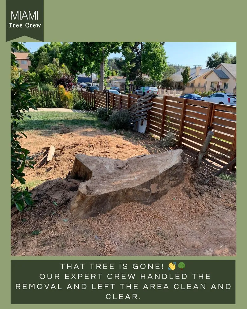 Trusted lawn mowing service for homes across Medley, FL - Miami Tree Crew