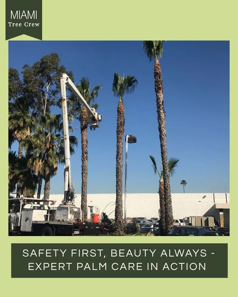 Expert garden landscaping in Medley, FL - Miami Tree Crew