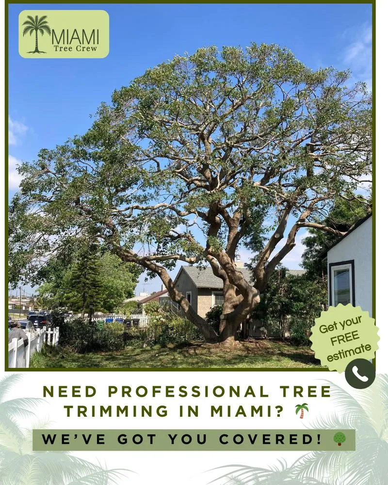 Reliable landscaping services for homes in Medley, FL by Miami Tree Crew