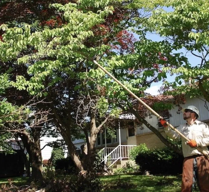 Reliable lawn care service near you across Miami, FL - Miami Tree Trim
