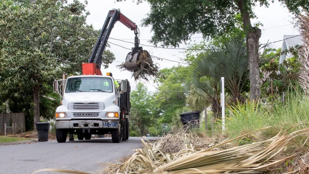 Custom landscaping services experts serving Miami, FL - Miami Tree Trim