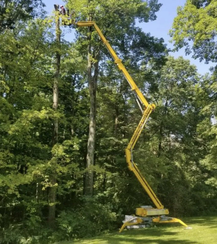 Custom landscaping services near you across Miami, FL - Miami Tree Trim