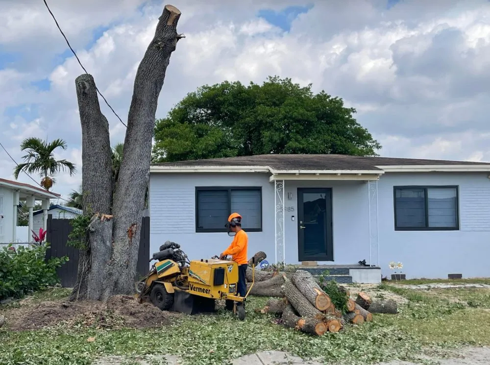 Professional residential landscaping in Miami, FL by Miami Tree Trim