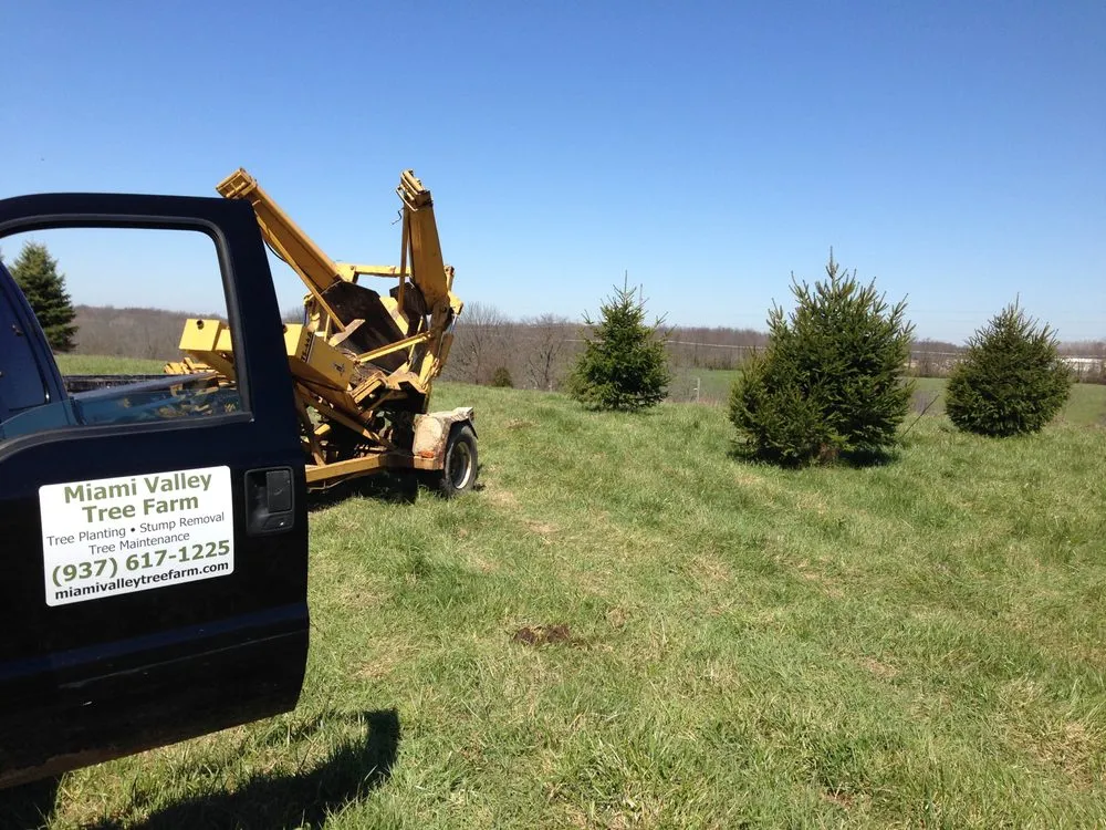 Expert landscaping services in Cedarville, OH - Miami Valley Tree Farm