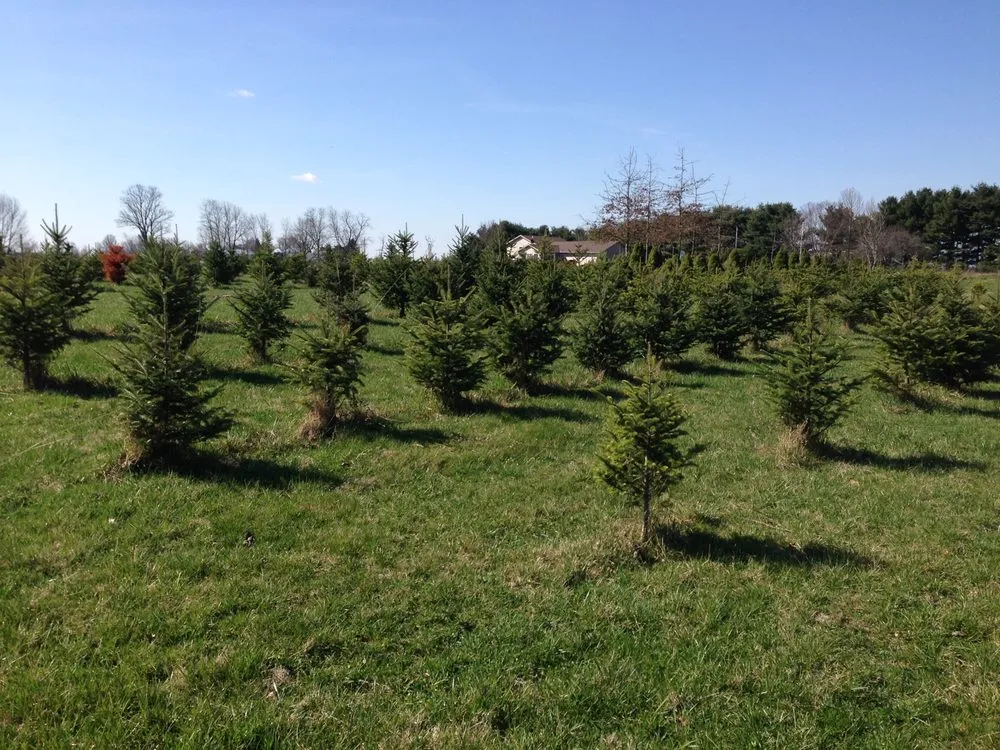 Local garden landscaping in Cedarville, OH by Miami Valley Tree Farm