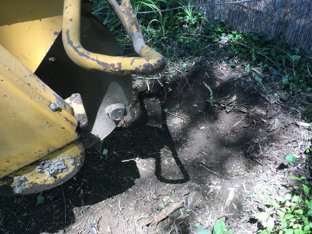 Top-rated lawn mowing service for year-round maintenance across Cedarville, OH - Miami Valley Tree Farm