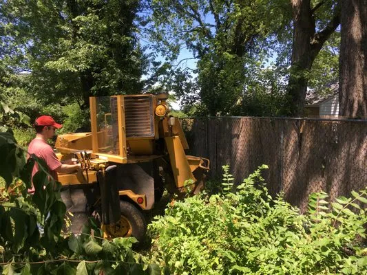 Miami Valley Tree Farm