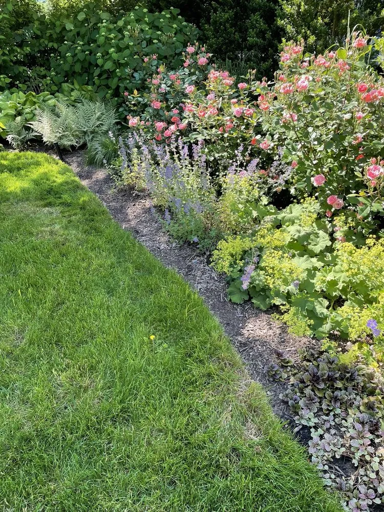 Trusted outdoor landscaping in Harrison, NY - Miano Landscaping