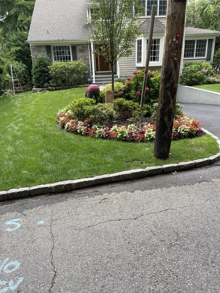 Professional yard cleanup service experts serving Harrison, NY - Miano Landscaping