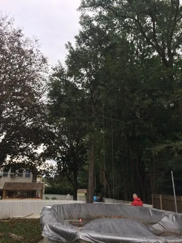 Top-rated residential landscaping experts serving South River, NJ - Mic Maintenance