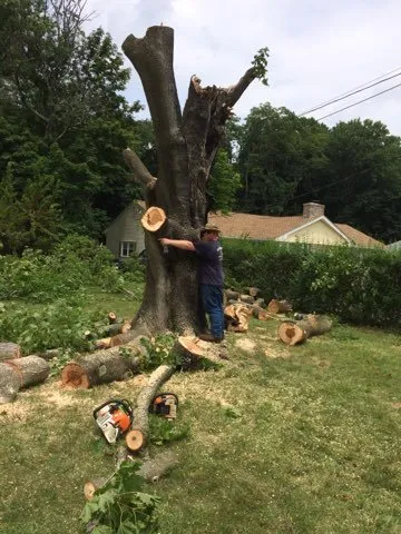 Reliable landscaping services in South River, NJ - Mic Maintenance