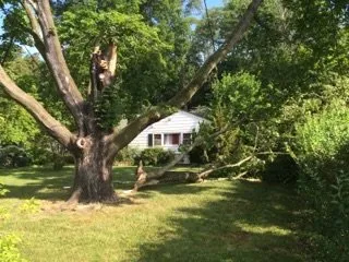 Professional lawn care service in South River, NJ - Mic Maintenance