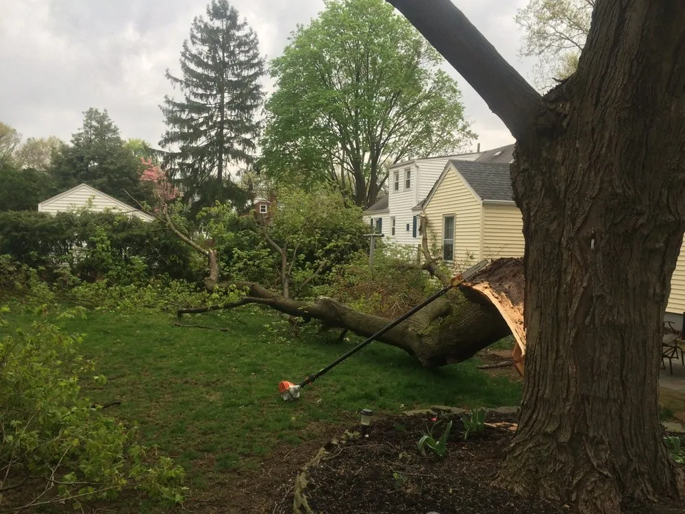 Professional lawn care service in South River, NJ by Mic Maintenance